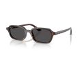 Ray-Ban Zuri Zonnebril RB 4455 135987