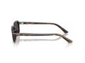 Ray-Ban Zuri Zonnebril RB 4455 135987