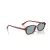 Ray-Ban Zuri Zonnebril RB 4455 680980