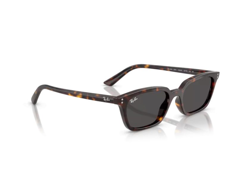 Ray-Ban Zaya Zonnebril RB 4456 135987