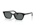 Ray-Ban Zaya Zonnebril RB 4456 667781