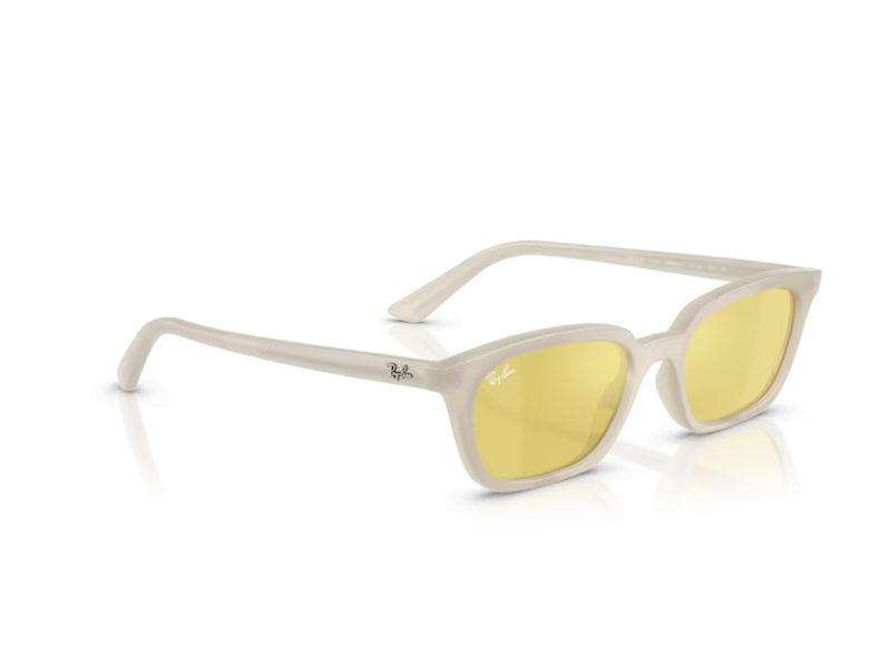 Ray-Ban Zaya Zonnebril RB 4456 68086D