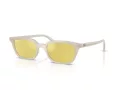 Ray-Ban Zaya Zonnebril RB 4456 68086D