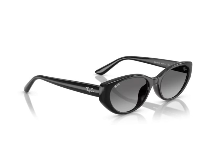 Ray-Ban Zonnebril RB 4457D 667711