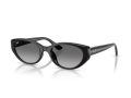 Ray-Ban Zonnebril RB 4457D 667711