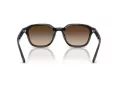 Ray-Ban Zonnebril RB 4458D 714/13