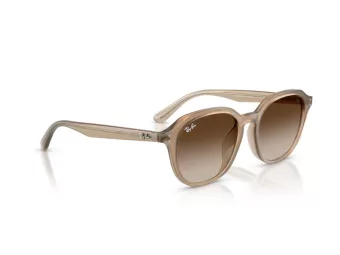 Ray-Ban Zonnebril RB 4459D 616613