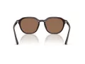Ray-Ban Zonnebril RB 4459D 623173
