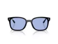 Ray-Ban Zonnebril RB 4461D 601/80