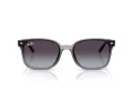 Ray-Ban Zonnebril RB 4461D 64508G