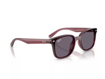 Ray-Ban Zonnebril RB 4461D 659373
