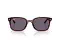 Ray-Ban Zonnebril RB 4461D 659373