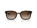 Ray-Ban Zonnebril RB 4461D 710/13