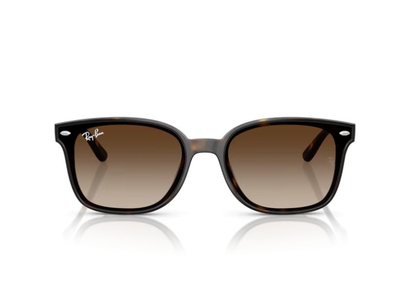 Ray-Ban Zonnebril RB 4461D 710/13