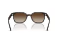 Ray-Ban Zonnebril RB 4461D 710/13