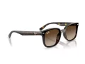 Ray-Ban Zonnebril RB 4461D 710/13