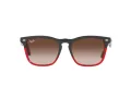 Ray-Ban Steve Zonnebril 4487 663113