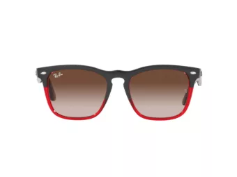 Ray-Ban Steve Zonnebril 4487 663113