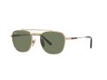 Ray-Ban Frank Ii Titanium Zonnebril RB 8258 3138/52