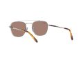 Ray-Ban Frank Ii Titanium Zonnebril RB 8258 3139/O4