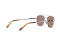 Ray-Ban Frank Ii Titanium Zonnebril RB 8258 3139/O4
