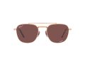 Ray-Ban Frank Ii Titanium Zonnebril RB 8258 3140/AF