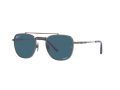 Ray-Ban Frank Ii Titanium Zonnebril RB 8258 3142/S2