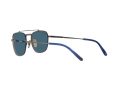 Ray-Ban Frank Ii Titanium Zonnebril RB 8258 3142/S2