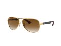 Ray-Ban Carbon Fibre Zonnebril RB 8313 001/51