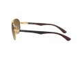 Ray-Ban Carbon Fibre Zonnebril RB 8313 001/51