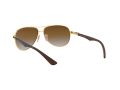Ray-Ban Carbon Fibre Zonnebril RB 8313 001/51