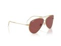 Ray-Ban Aviator Reverse Zonnebril RB R0101S 001/69