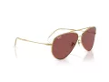 Ray-Ban Aviator Reverse Zonnebril RB R0101S 001/69