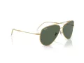 Ray-Ban Aviator Reverse Zonnebril RB 0RBR0101S 001/VR
