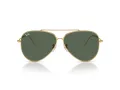 Ray-Ban Aviator Reverse Zonnebril RB 0RBR0101S 001/VR