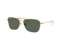 Ray-Ban Caravan Reverse Zonnebril RB 0RBR0102S 001/VR
