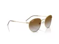 Ray-Ban Round Reverse Zonnebril RB R0103S 001/CB