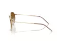 Ray-Ban Round Reverse Zonnebril RB R0103S 001/CB
