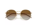 Ray-Ban Round Reverse Zonnebril RB R0103S 001/CB