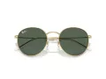 Ray-Ban Round Reverse Zonnebril RB R0103S 001/VR