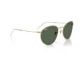 Ray-Ban Round Reverse Zonnebril RB R0103S 001/VR