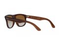 Ray-Ban Boyfriend Reverse Zonnebril RB R0501S 6709CB