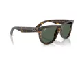 Ray-Ban Wayfarer Reverse Zonnebril RB R0502S 6790VR