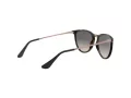 Ray-Ban Junior Erika Zonnebril RJ 9060S 704911