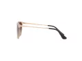 Ray-Ban Junior Erika Zonnebril RJ 9060S 710813