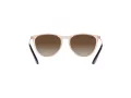 Ray-Ban Junior Erika Zonnebril RJ 9060S 710813