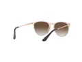 Ray-Ban Junior Erika Zonnebril RJ 9060S 710813