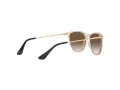 Ray-Ban Junior Erika Zonnebril RJ 9060S 710813