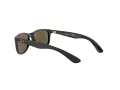 Ray-Ban Zonnebril RJ 9062S 7013/55