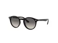 Ray-Ban Zonnebril RJ 9064S 100/11